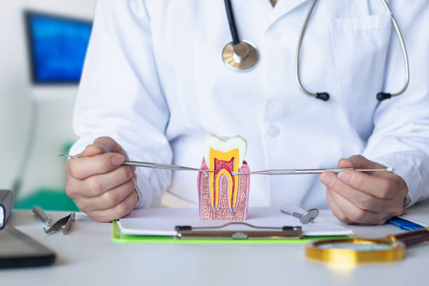 Best Weekend Emergency Dentist in Mountain View, HI